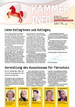 Info 15