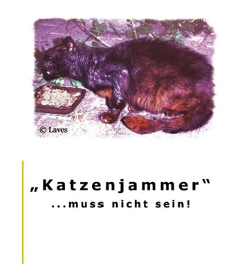 Katzeneldend Katzenkastrationsaktion